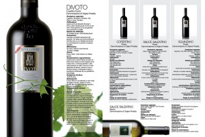 brochure-apollonio6